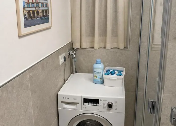 Exklusives City-apartment Mit Gartenidylle An Den Paderwiesen *